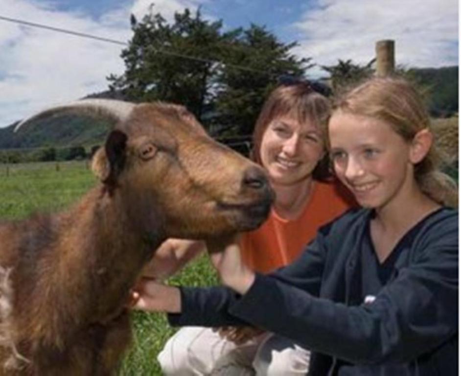 Smiths Farm Holiday Park Linkwater Экстерьер фото